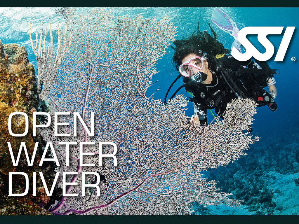 Open Water Diver
